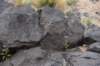 dsc_1376_small.jpg