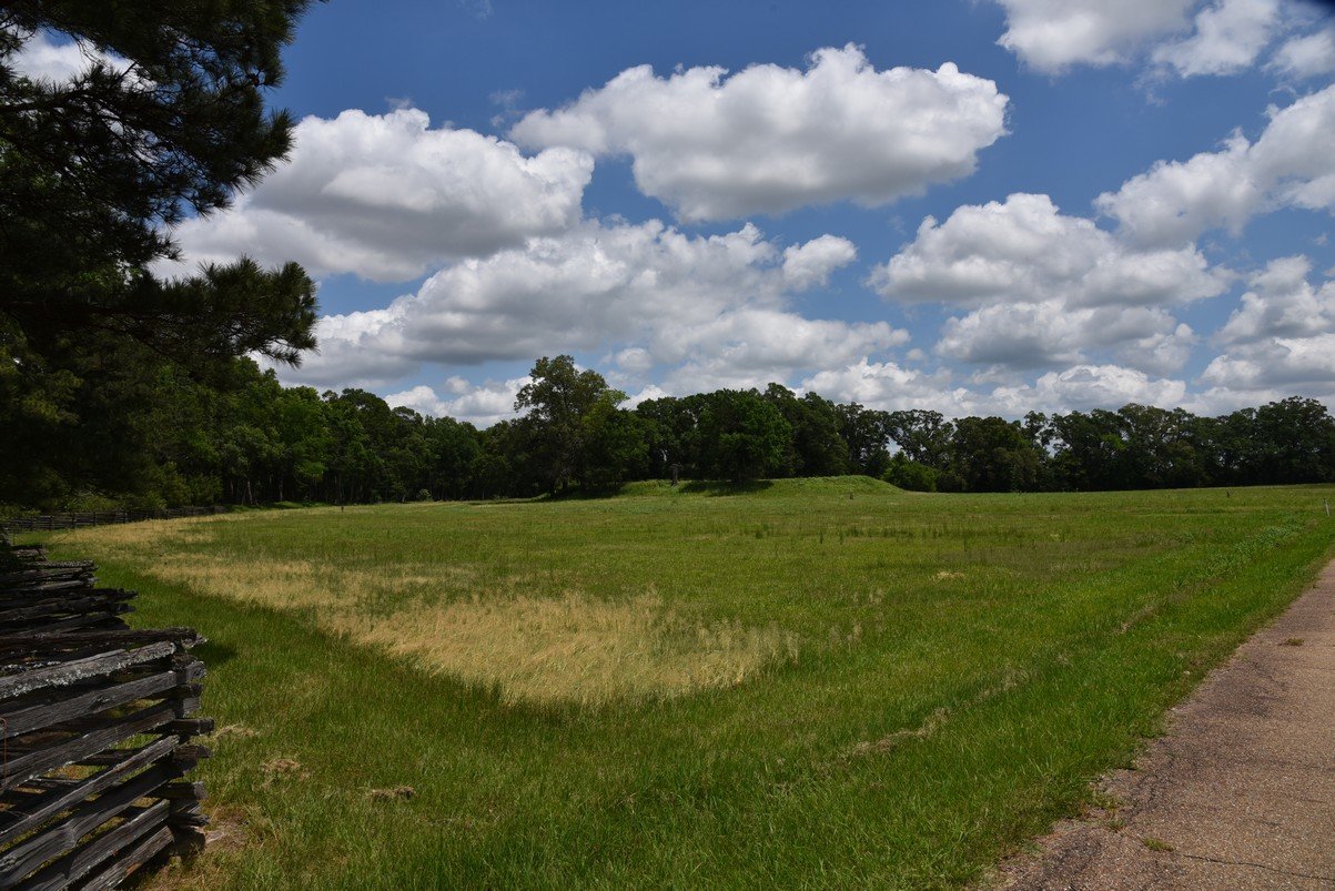 dsc_1731.jpg