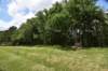 dsc_1736_small.jpg