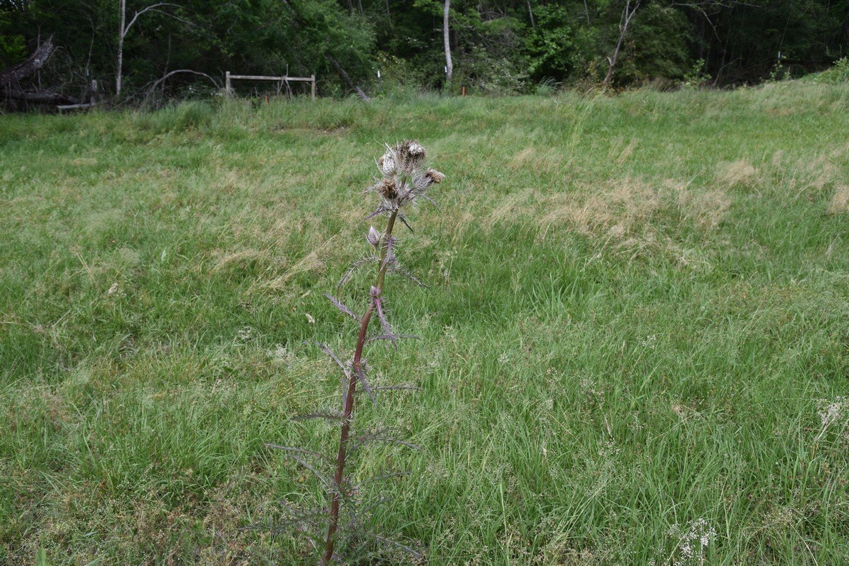 dsc_1739.jpg