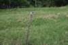 dsc_1739_small.jpg