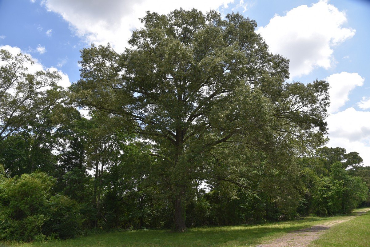dsc_1741.jpg