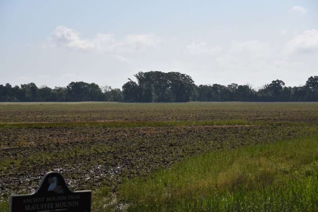 dsc_2071mcguffeemounds.jpg