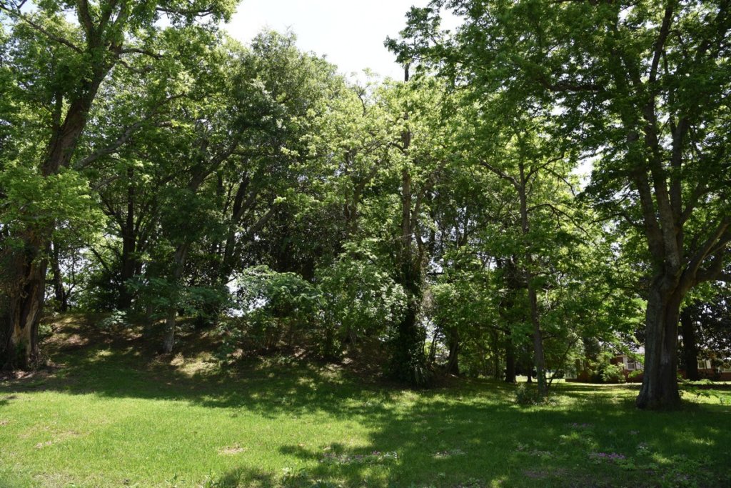 dsc_2111frogmoremound.jpg
