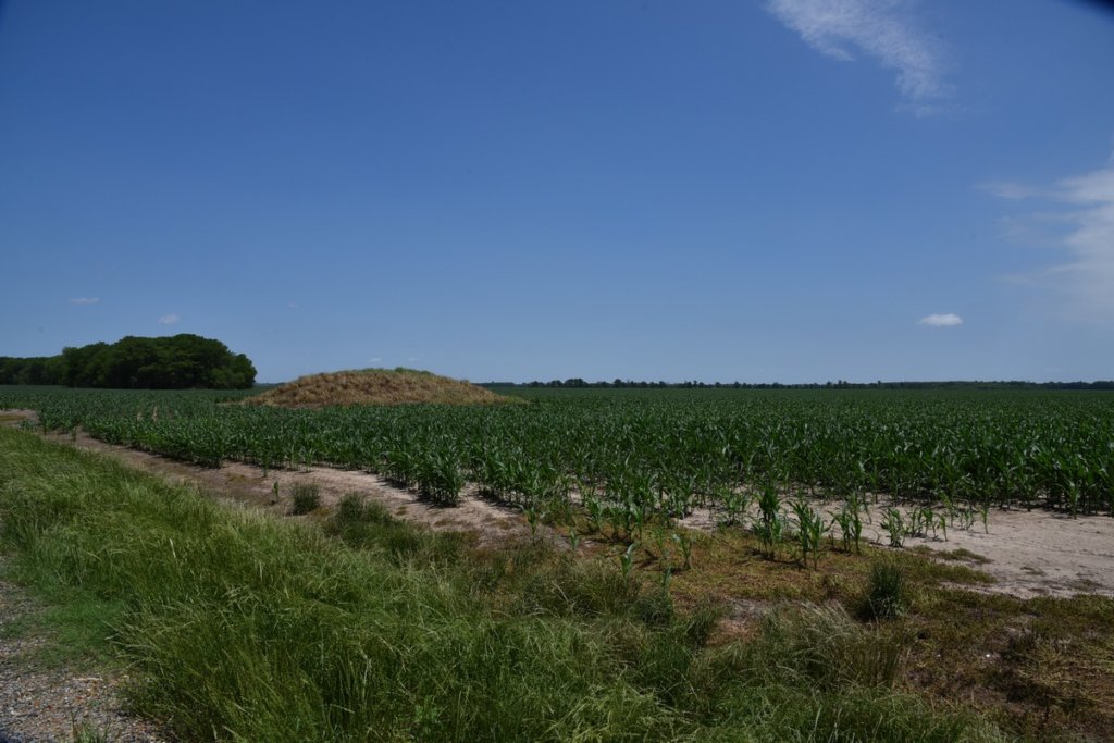 dsc_2117elkhornplantationmound.jpg