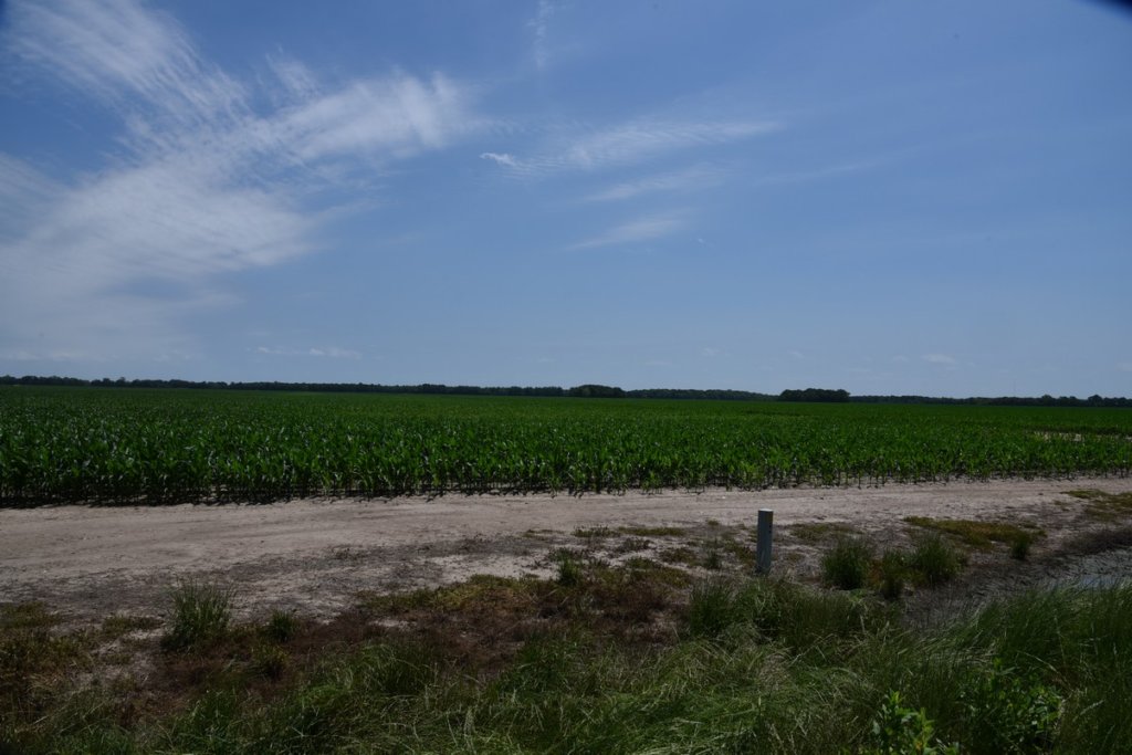 dsc_2120elkhornplantationmound.jpg