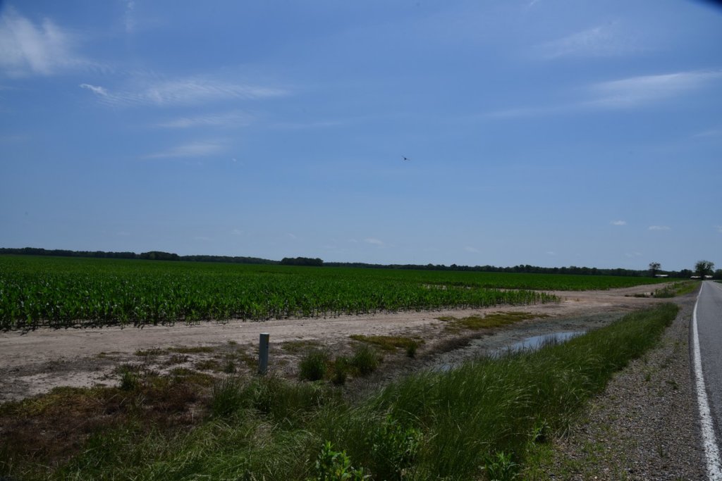 dsc_2121elkhornplantationmound.jpg