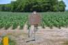 dsc_2122elkhornplantationmound_small.jpg