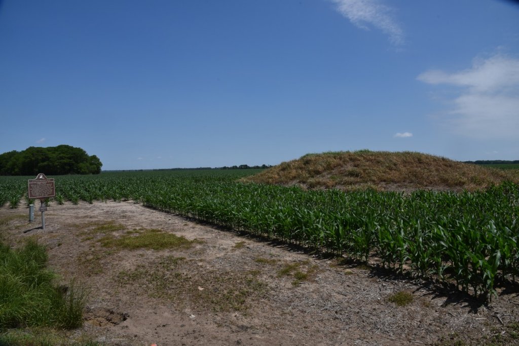 dsc_2123elkhornplantationmound.jpg