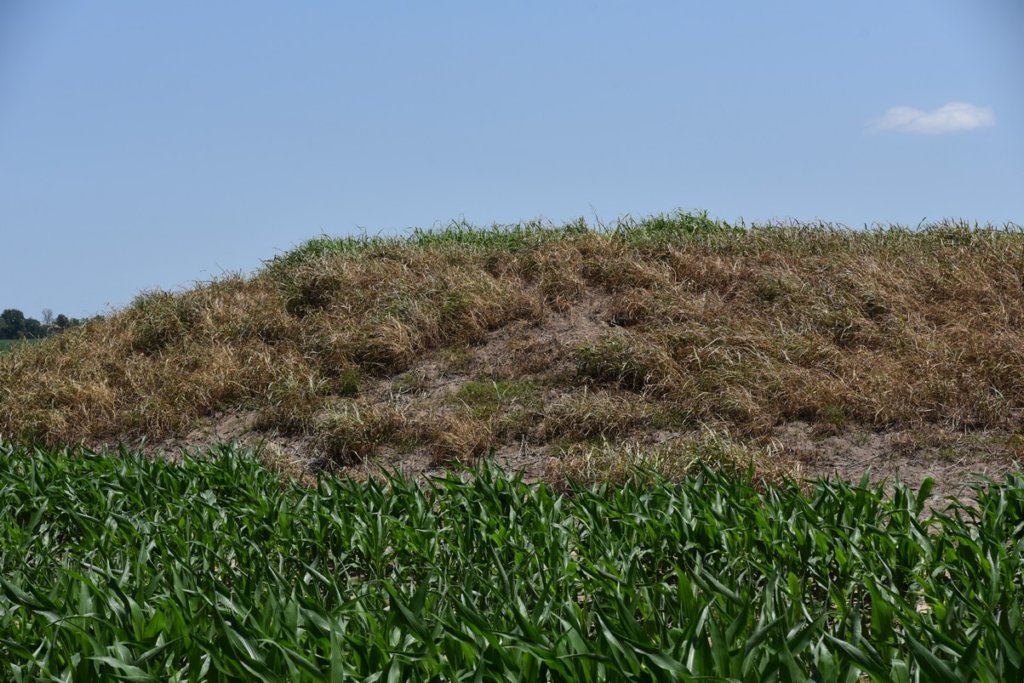 dsc_2125elkhornplantationmound.jpg