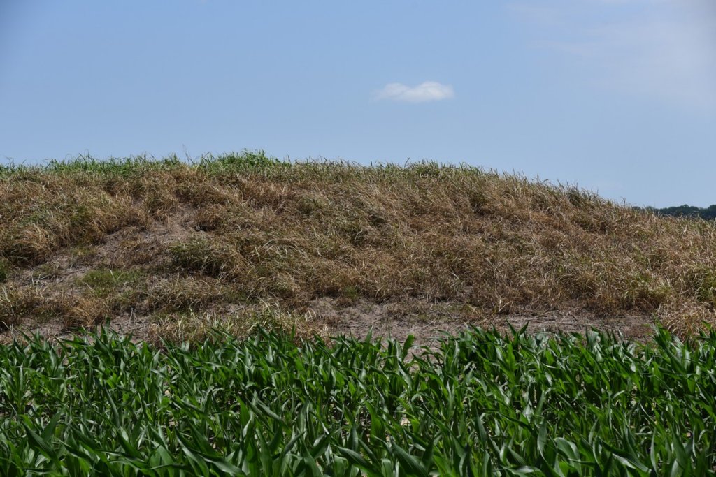 dsc_2126elkhornplantationmound.jpg