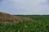 dsc_2128elkhornplantationmound_small.jpg
