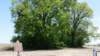 dsc_2130bchurupamound_small.jpg