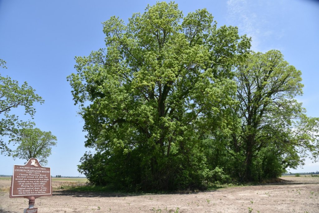 dsc_2130churupamound.jpg