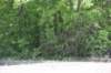 dsc_2132churupamound_small.jpg