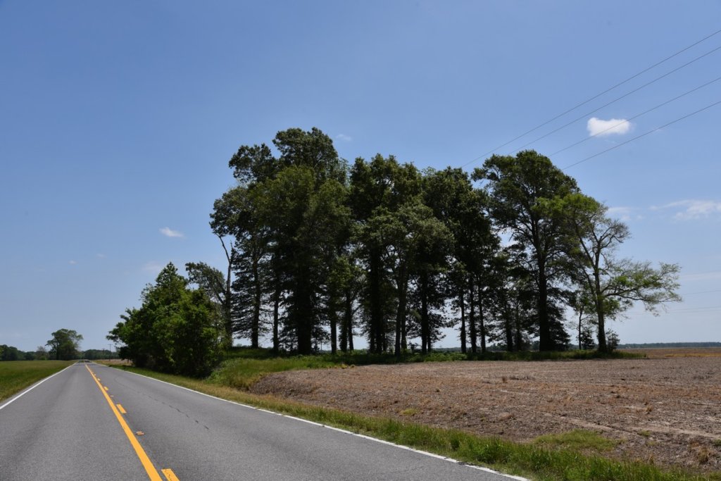 dsc_2141lamarquelandingmound.jpg
