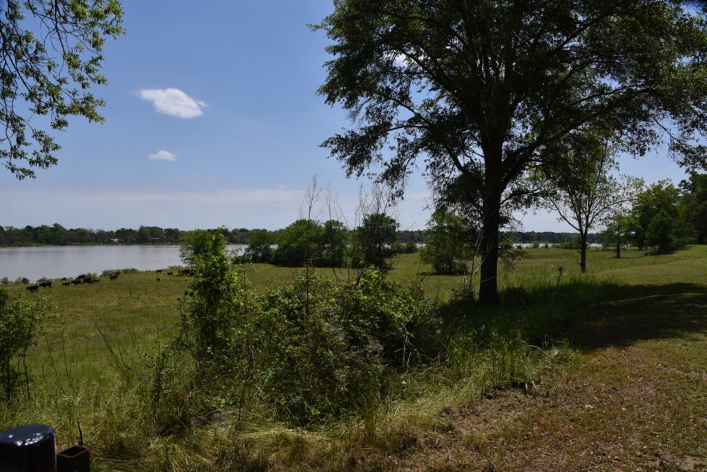 dsc_2161peckmounds.jpg