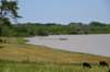 dsc_2168peckmounds_small.jpg