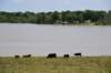 dsc_2169peckmounds_small.jpg