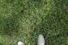 dsc_2218grandnatchez_small.jpg