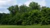 dsc_2219bgrandnatchez_small.jpg