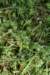 dsc_2219grandnatchez_small.jpg