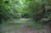 dsc_2358_small.jpg