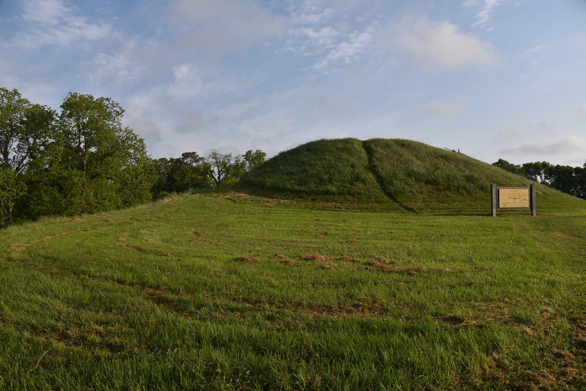 dsc_2376.jpg