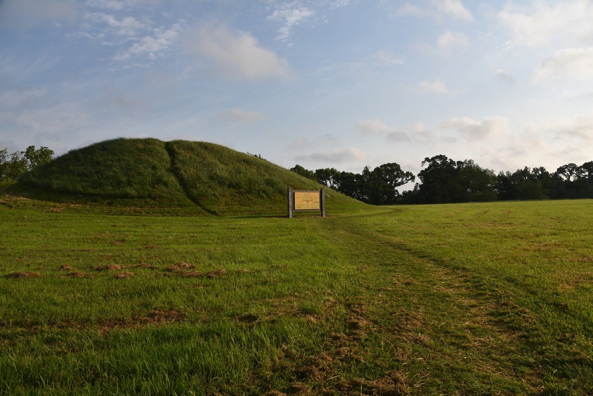 dsc_2377.jpg