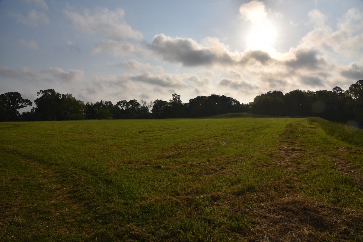 dsc_2379.jpg