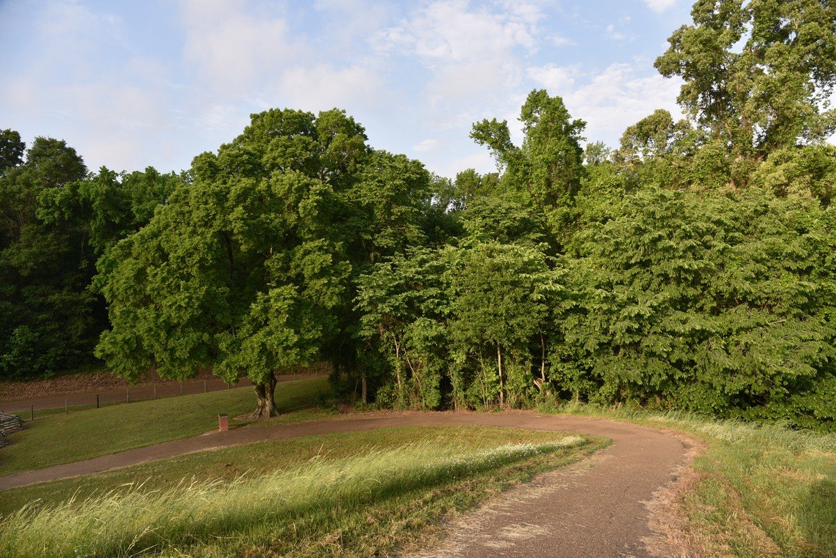 dsc_2384.jpg