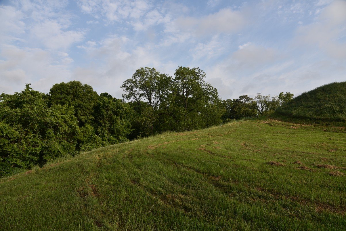 dsc_2387.jpg