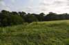 dsc_2394_small.jpg