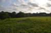 dsc_2395_small.jpg