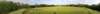 dsc_240411_pf_small.jpg