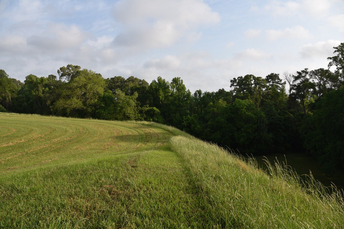 dsc_2411.jpg