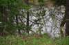 dsc_2457_fs_small.jpg