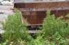dsc_2469_fs_small.jpg
