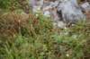 dsc_2470_fs_small.jpg