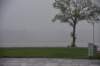 dsc_2472_fs_small.jpg