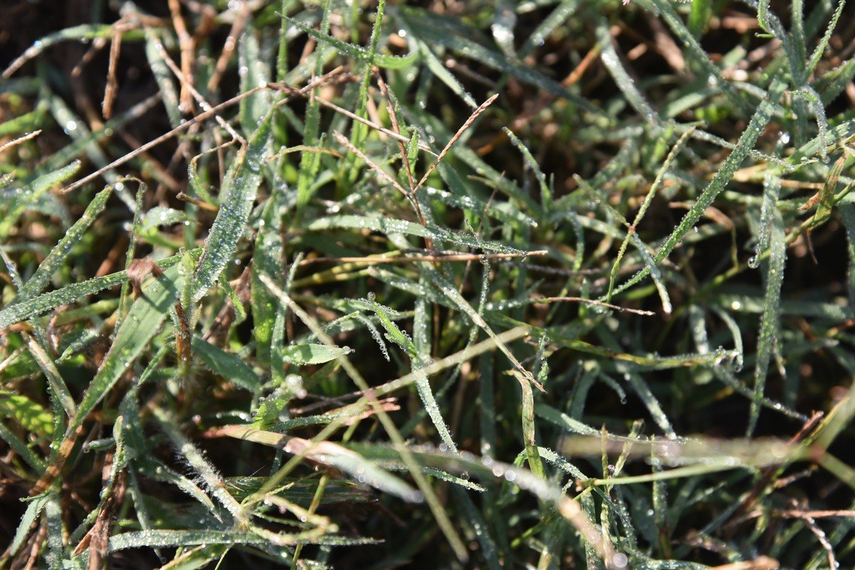 dsc_6731_fs.jpg