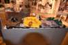dsc_2193ferridaydeltabluesmuseum_small.jpg