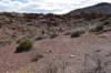 dsc_7947_fs_small.jpg
