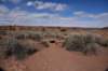 dsc_7997_fs_small.jpg