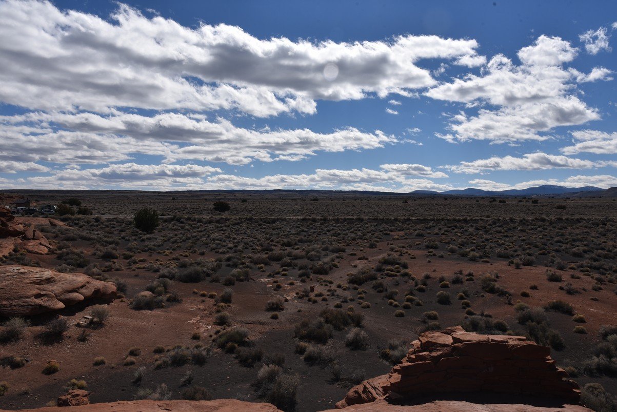 dsc_8014_fs.jpg