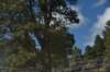 dsc_8048_fs_small.jpg