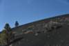 dsc_8058_fs_small.jpg