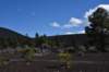 dsc_8080_fs_small.jpg