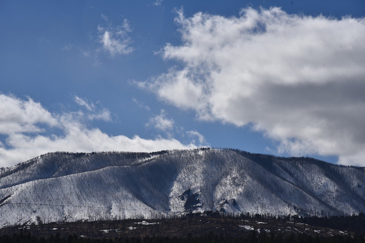 dsc_8094_fs.jpg