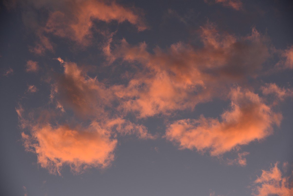 dsc_8121_fs.jpg